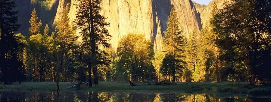 العلم نور والجهل ظلام 