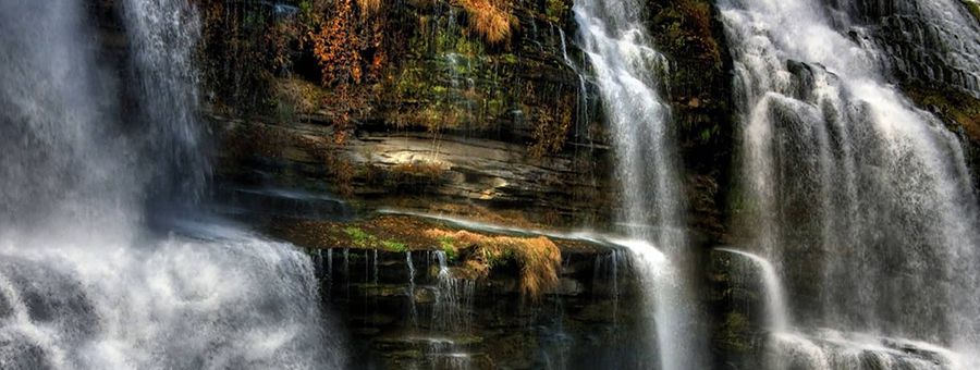 إنما يخشى الله من عباده العلماء 