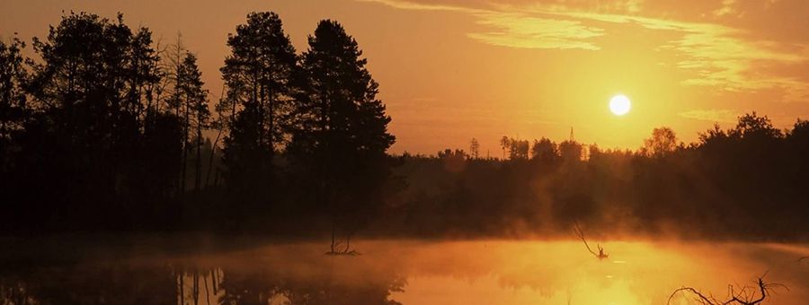 فضل العالم على العابد كفضل القمر على سائر الكواكب 